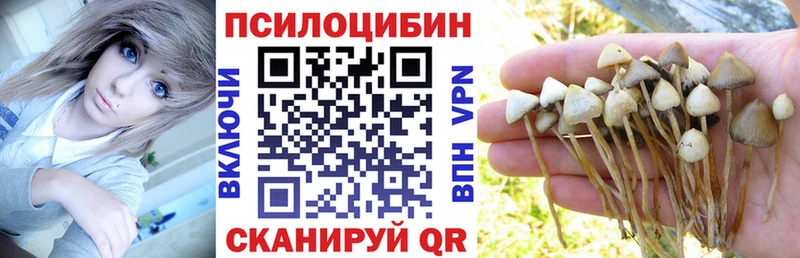 Купить  Инза  Галлюциногенные грибы ЛСД 
